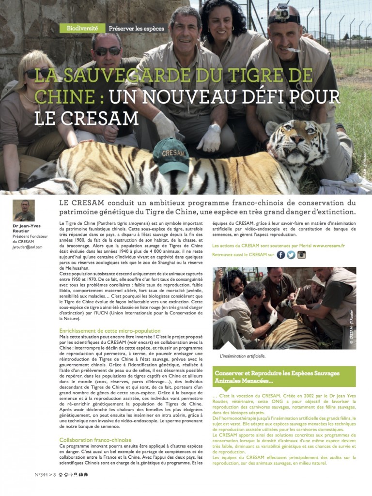 La sauvegarde du tigre de Chine ; un nouveau défi pour le Cream : article Veto Mecum